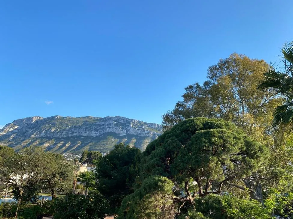 Het Montgó-massief gezien vanuit een tuin met palmen en pijnbomen