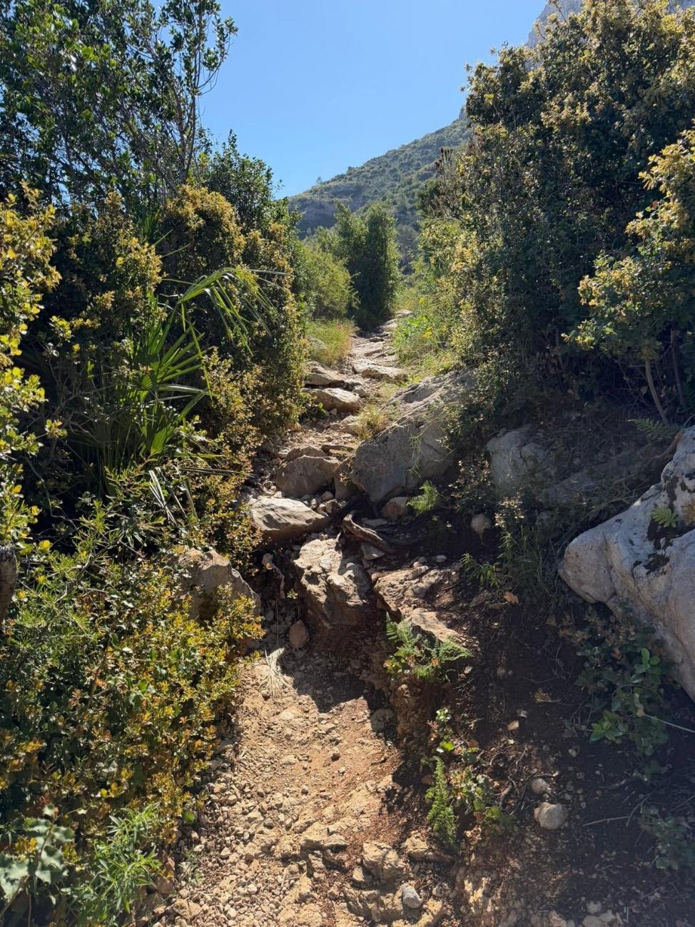Steil bergpad omhoog tussen de begroeiing op de Montgó
