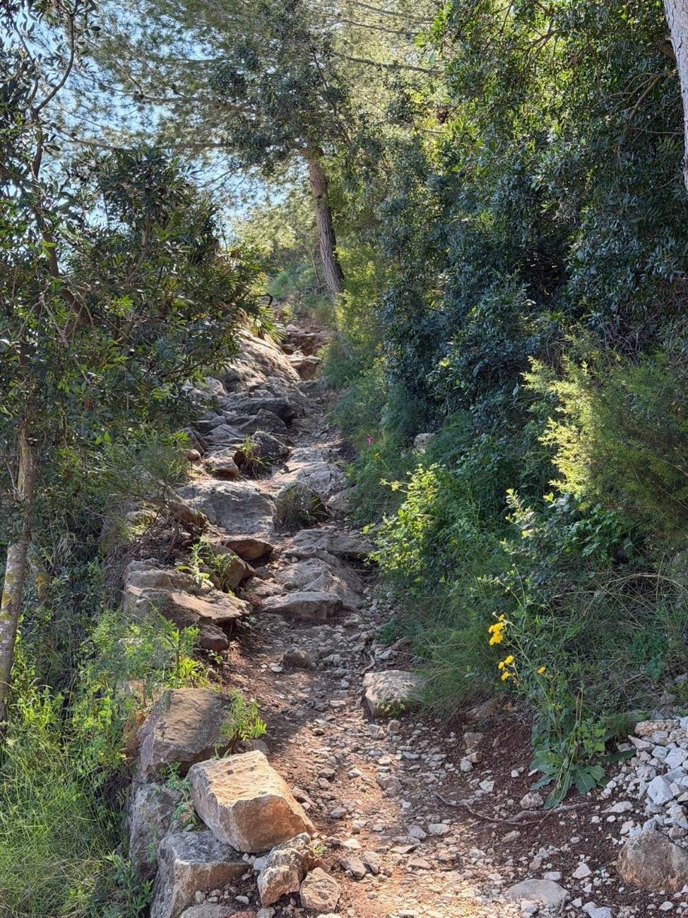 Rotsachtig wandelpad door de natuur op de Montgó